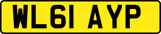 WL61AYP