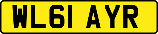 WL61AYR
