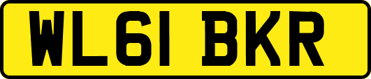 WL61BKR