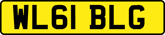 WL61BLG