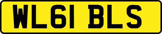 WL61BLS