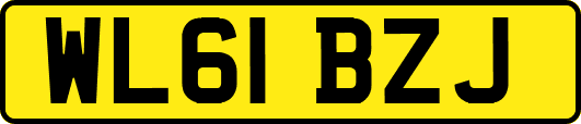 WL61BZJ