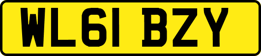 WL61BZY