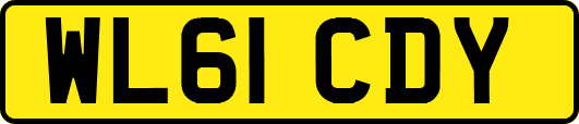 WL61CDY