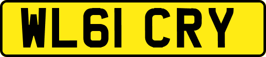 WL61CRY