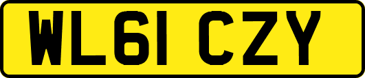 WL61CZY