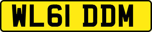 WL61DDM