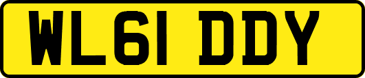 WL61DDY