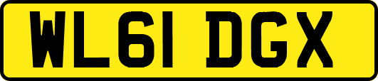 WL61DGX