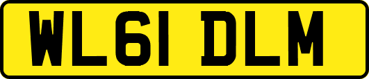 WL61DLM