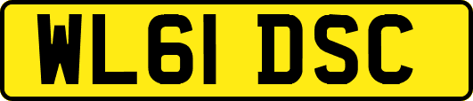 WL61DSC