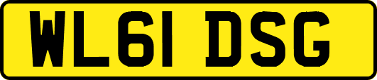 WL61DSG