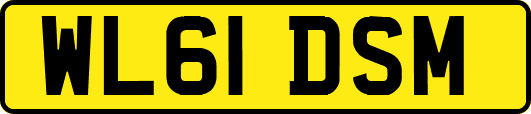 WL61DSM