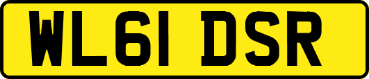 WL61DSR