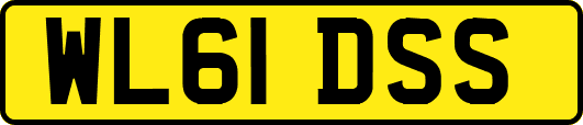 WL61DSS