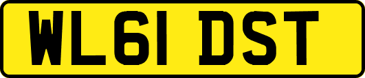 WL61DST