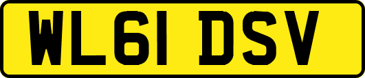 WL61DSV