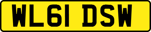 WL61DSW