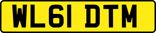 WL61DTM