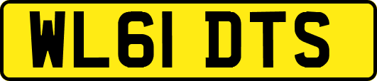 WL61DTS