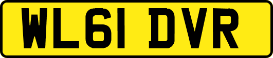 WL61DVR