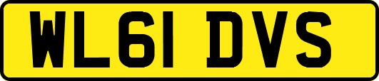 WL61DVS
