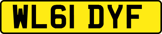WL61DYF
