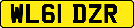 WL61DZR