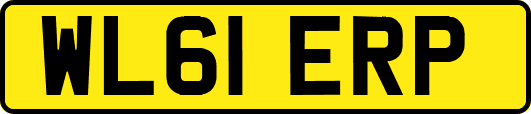 WL61ERP
