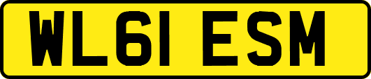 WL61ESM