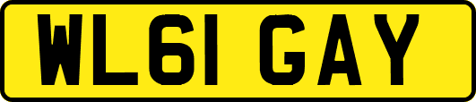 WL61GAY