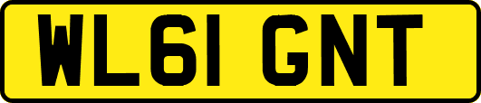 WL61GNT
