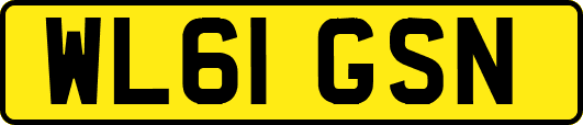 WL61GSN