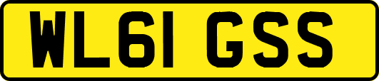 WL61GSS