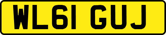 WL61GUJ