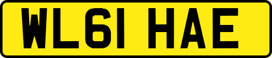 WL61HAE