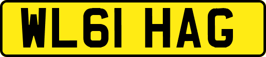WL61HAG