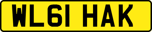 WL61HAK