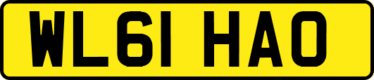WL61HAO