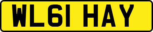 WL61HAY
