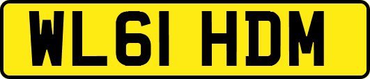 WL61HDM