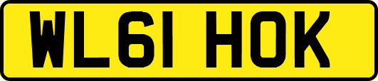 WL61HOK