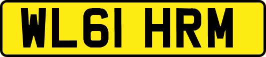 WL61HRM