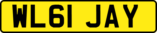WL61JAY