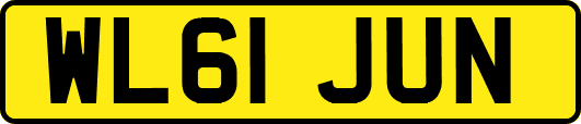 WL61JUN