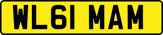 WL61MAM