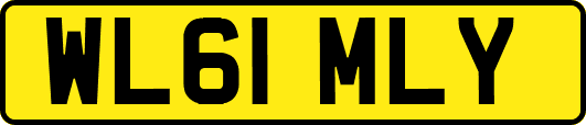 WL61MLY