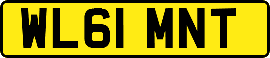 WL61MNT