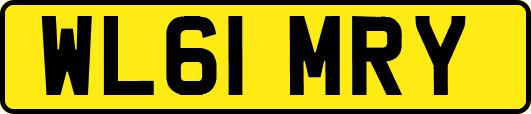 WL61MRY