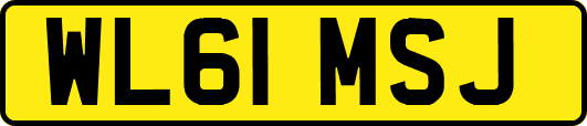 WL61MSJ